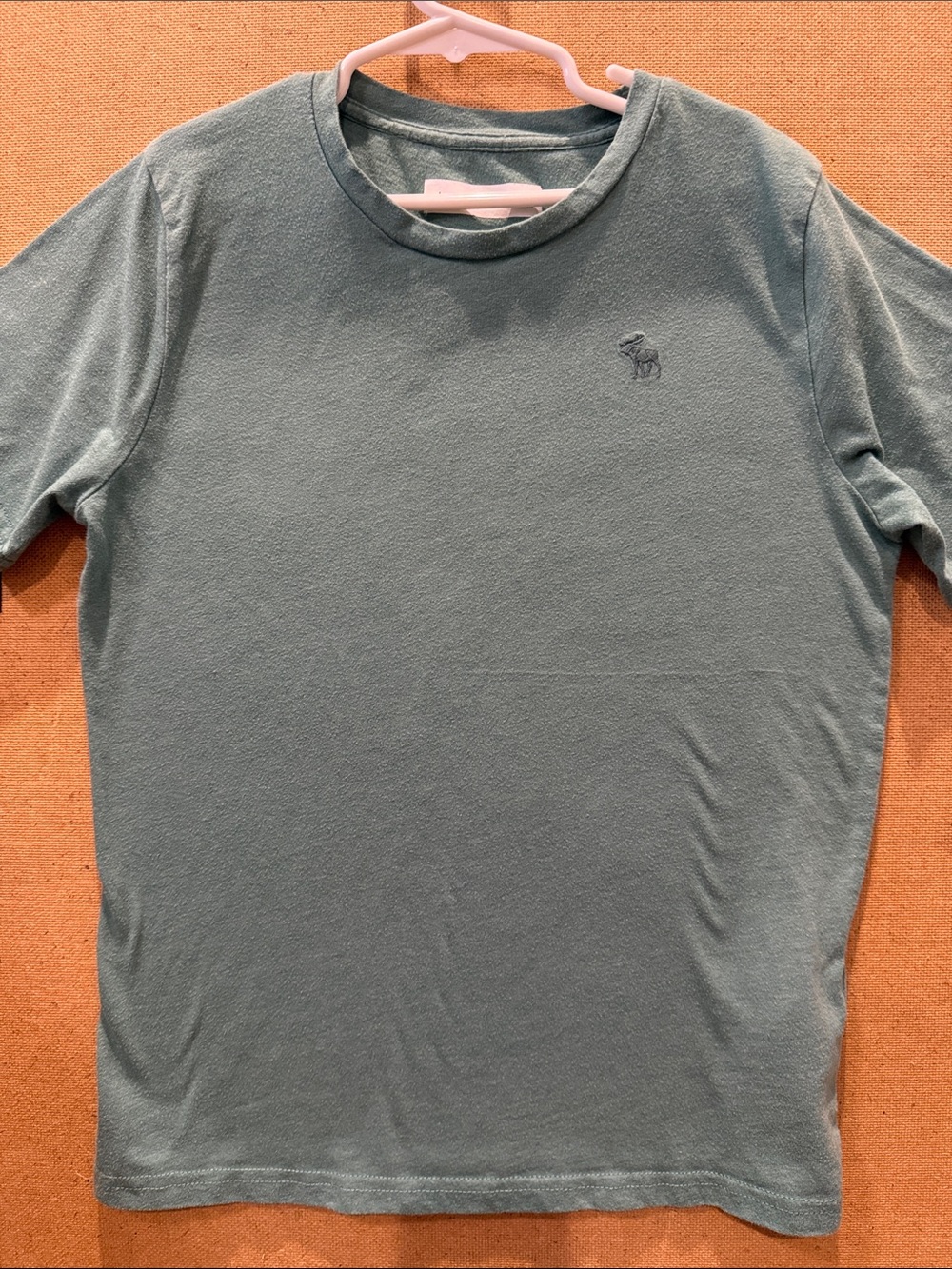 abercrombie kids boys Sage Green Short-Sleeve Crewneck Tee